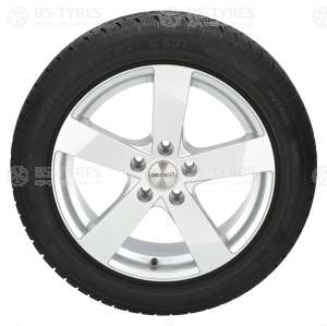 Petlas Snow Master W651